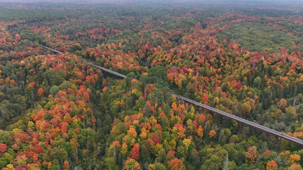 An aerial photograph of a forest. Wisco Aerial & Ground Services provides aerial photography and videography to all of Southern Wisconsin.